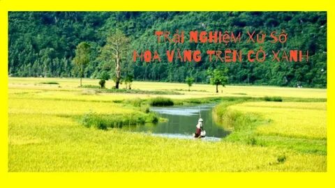 Chính sách đại lý của Hotspot Matrix: Cơ hội hợp tác bền vững trong ngành video ngắn_Video quảng cáo trên mạng xã hội